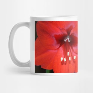 Is this the Way to Amaryllis? Mug